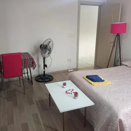 Halit Ev 1 Habitación en casa particular Estambul